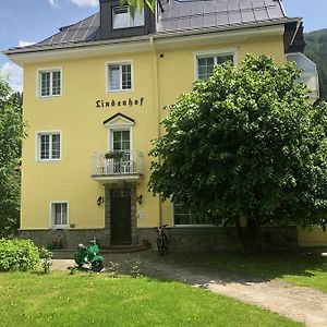 Hotel Lindenhof